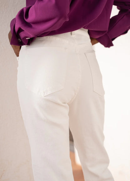Jean Salome Blanc