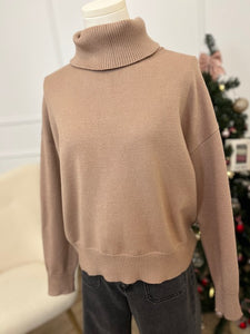 Pull Col roulé Willow Taupe